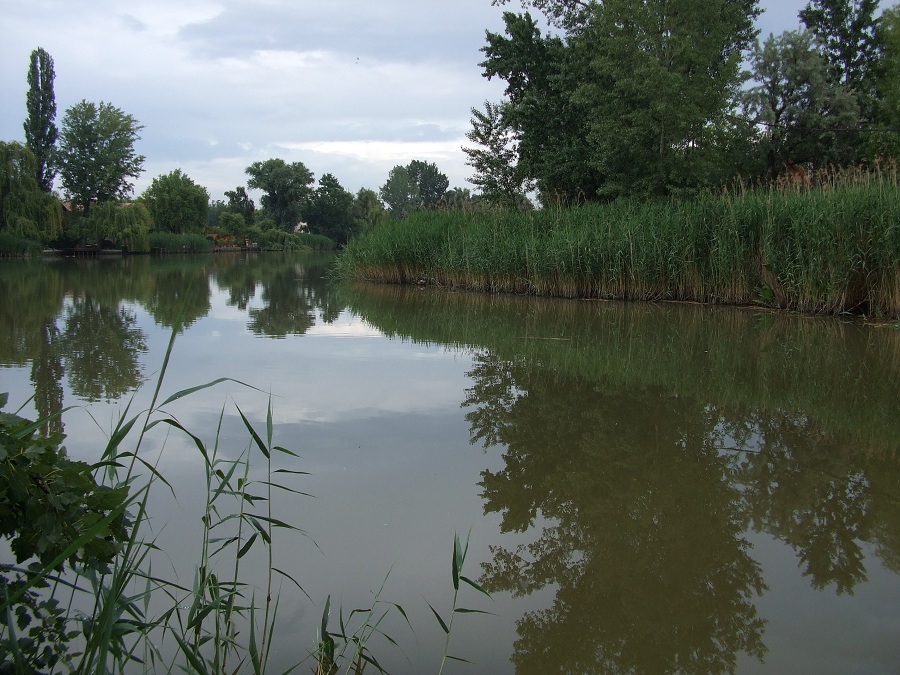 Taksony Ráckevei Soroksári Duna